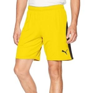 Puma Mens Liga Shorts